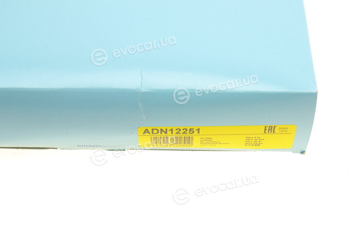 Blue Print ADN12251