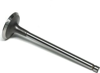Gunes 4408