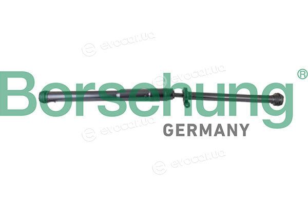 Borsehung B10610