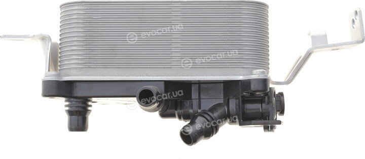 Adler 17217638580