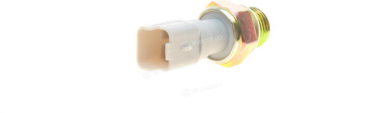 AIC 55399