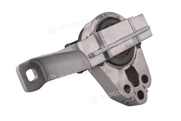 Tedgum TED55727