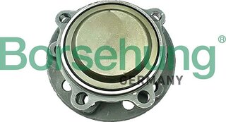 Borsehung B11716