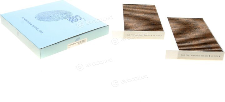 Blue Print ADBP250014