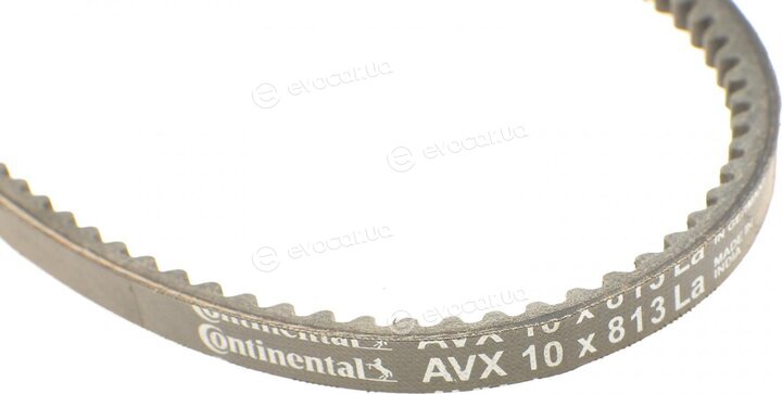 Continental AVX10X813