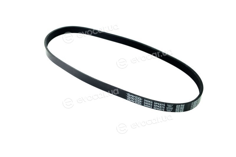 Dayco 5PK875
