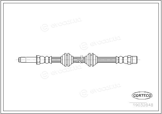 Corteco 19032848