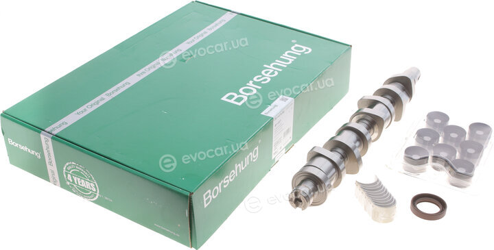 Borsehung B11307