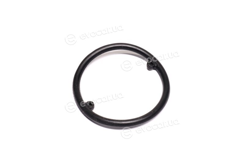 Elring 634.380