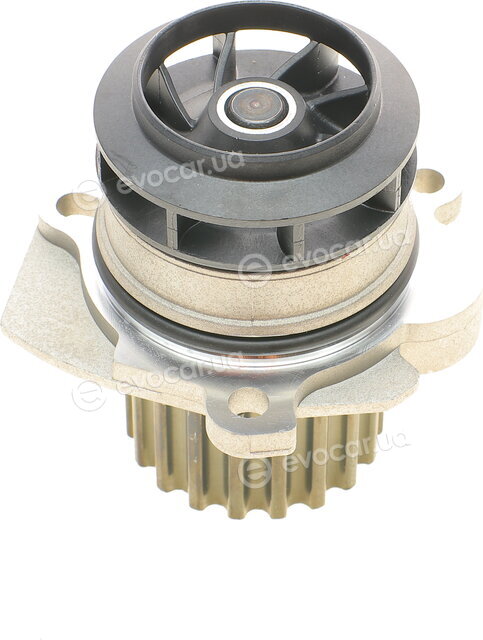 Continental CT1134WP1