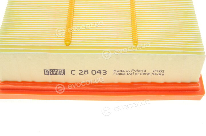 Mann C 28 043
