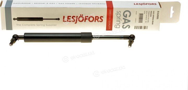 Lesjofors 8162005