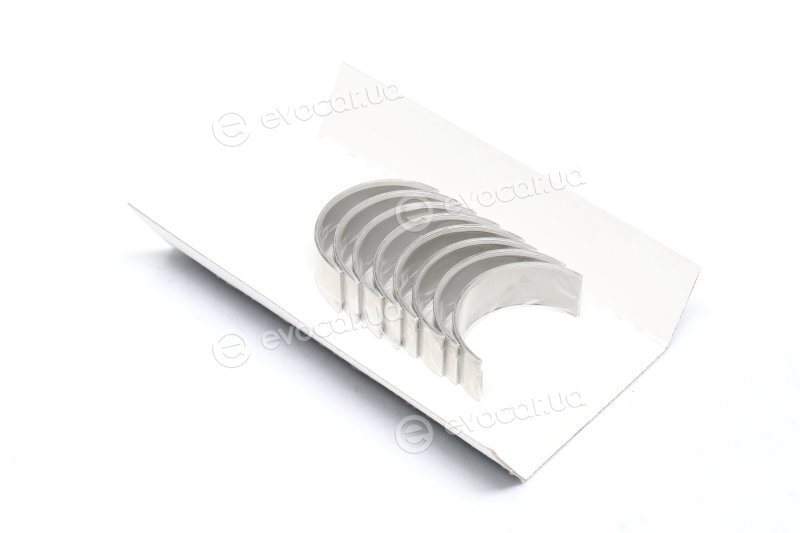 Glyco 71-3899/4 STD