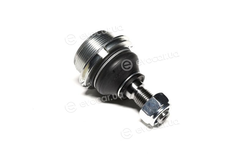 Sasic 6403343