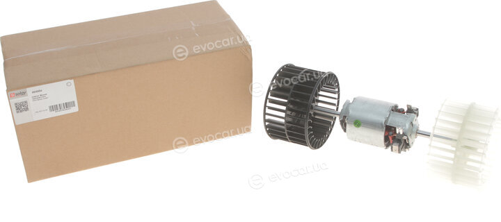 Solgy 404004