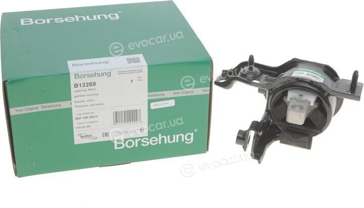 Borsehung B12269