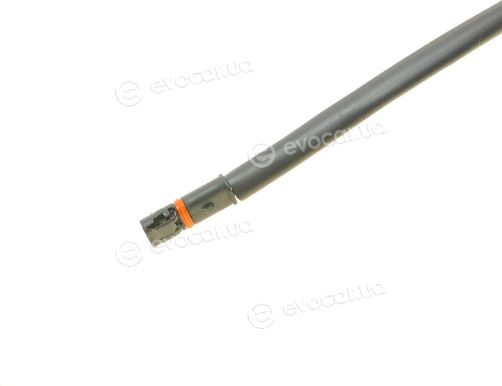 AIC 55545