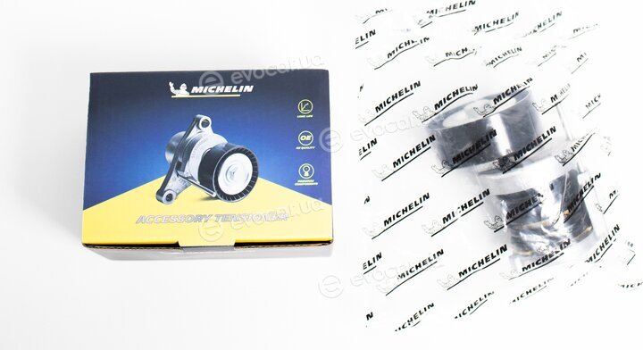 Michelin FMMT01711