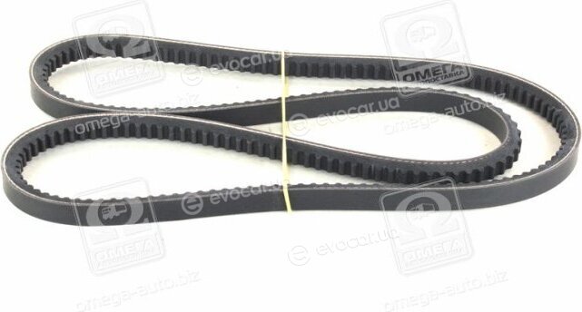 Dayco 13A1300HD