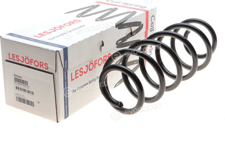 Lesjofors 4095036
