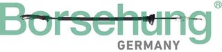 Borsehung B12338