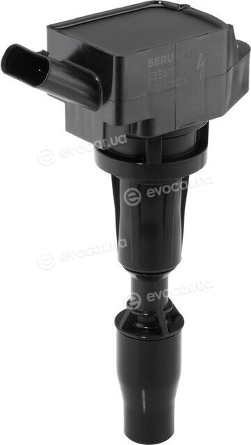 BorgWarner ZSE300