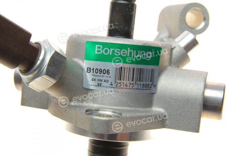 Borsehung B10906