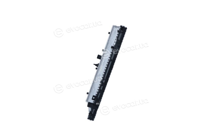 NRF 519517