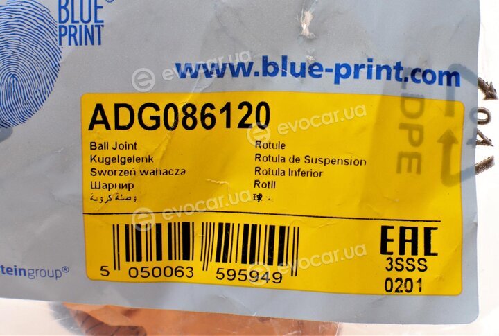 Blue Print ADG086120