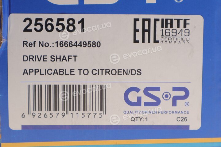 GSP 256581