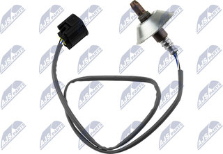 NTY ESL-MZ-010