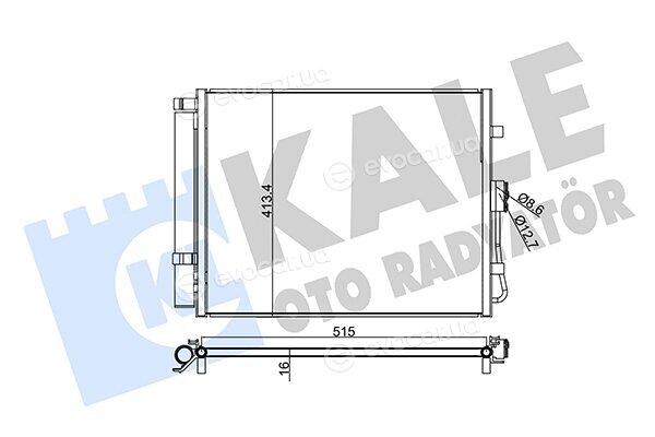 Kale 345240