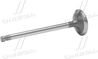 Gunes 3715