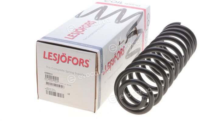 Lesjofors 4295011