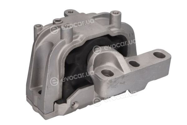 Reinhoch RH11-0157