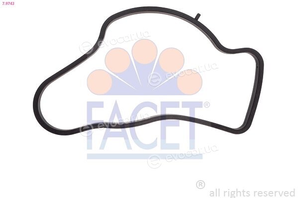 Facet 7.9743
