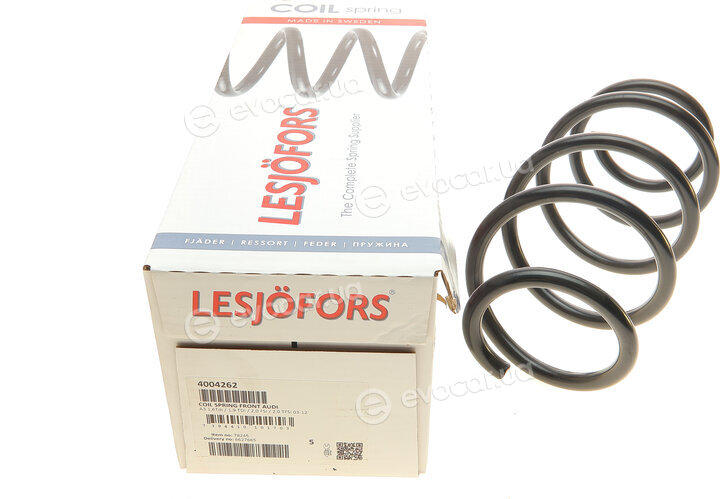Lesjofors 4004262