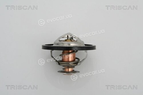 Triscan 8620 13591