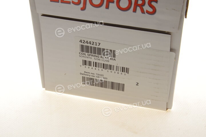 Lesjofors 4244217