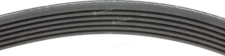 INA FB 6PK1245