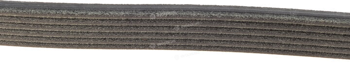 Dayco 6PK831EE