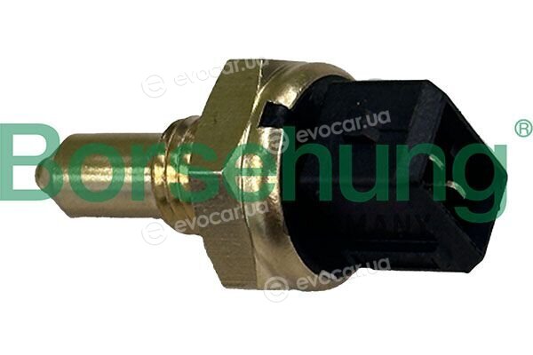 Borsehung B13489