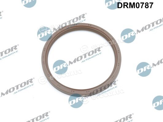 Dr. Motor DRM0787