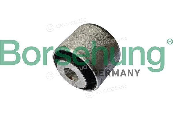 Borsehung B13183
