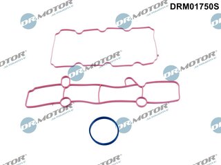 Dr. Motor DRM01750S