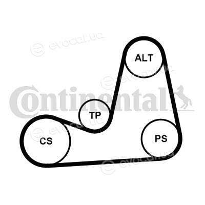 Continental 5PK1110K2