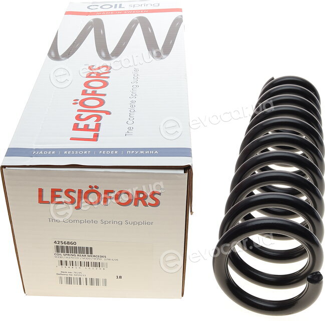 Lesjofors 4256860