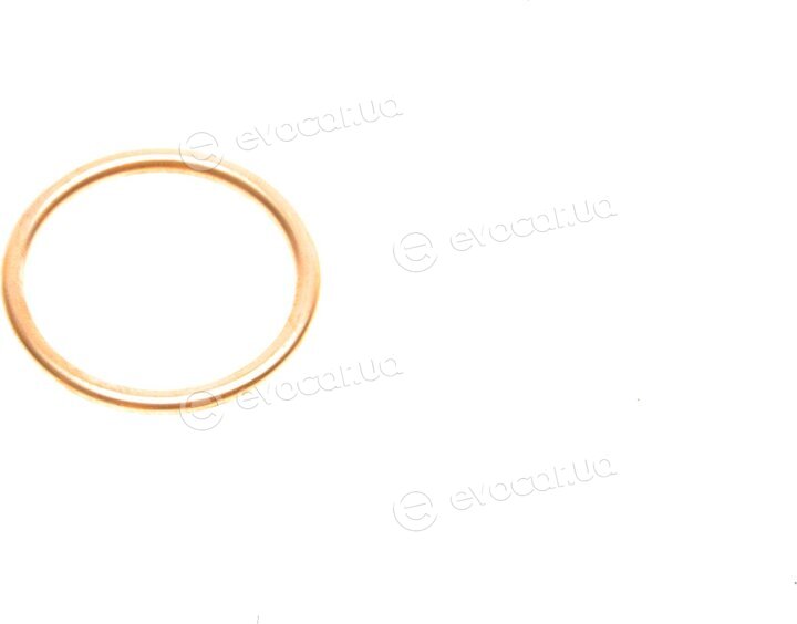 Elring 446.920