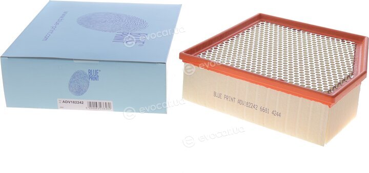 Blue Print ADV182242