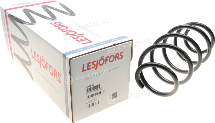 Lesjofors 4004283